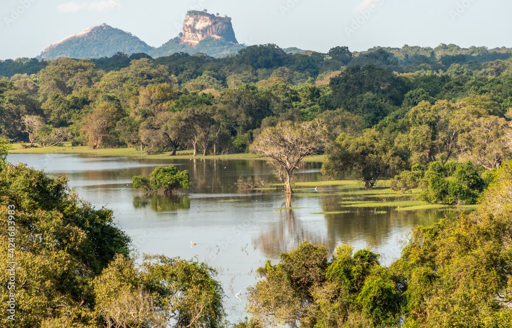 Dambulla Cave Temple